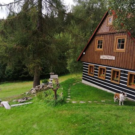 Apartman Dve Micky Pec pod Snezkou Exterior photo
